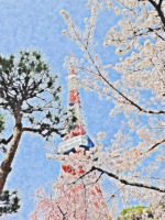 芝公園・東京タワー