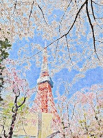 芝公園・東京タワー