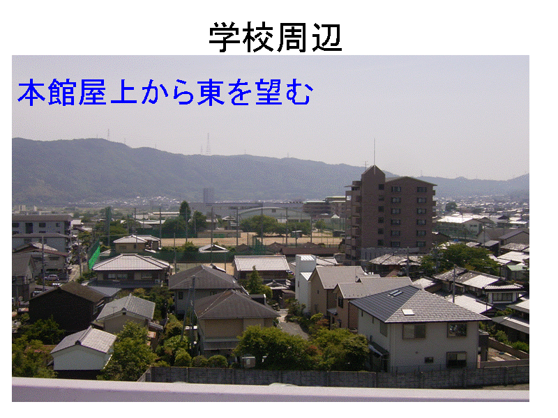 �w�Z����