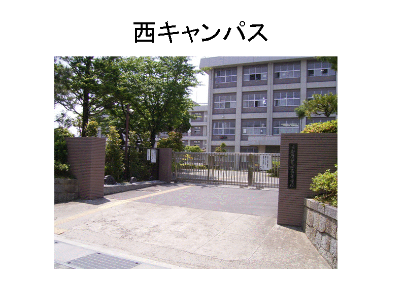 ���L�����p�X