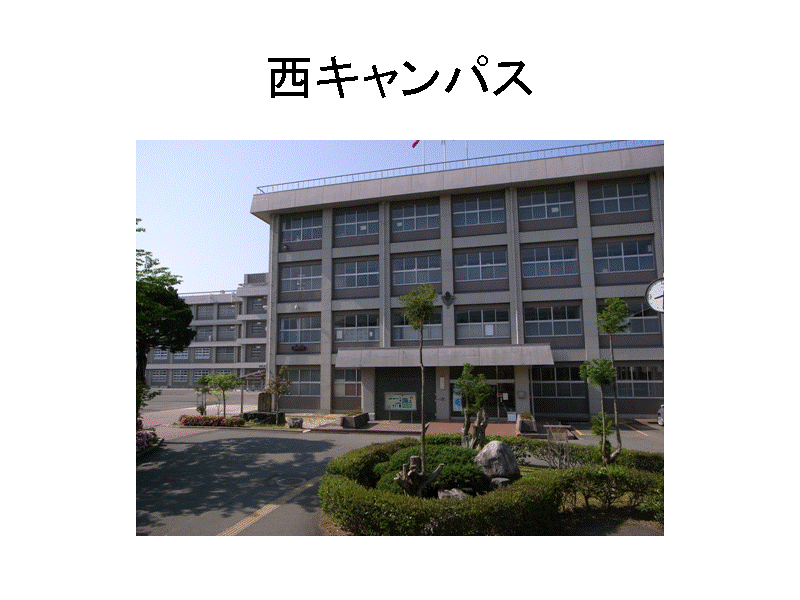 ���L�����p�X