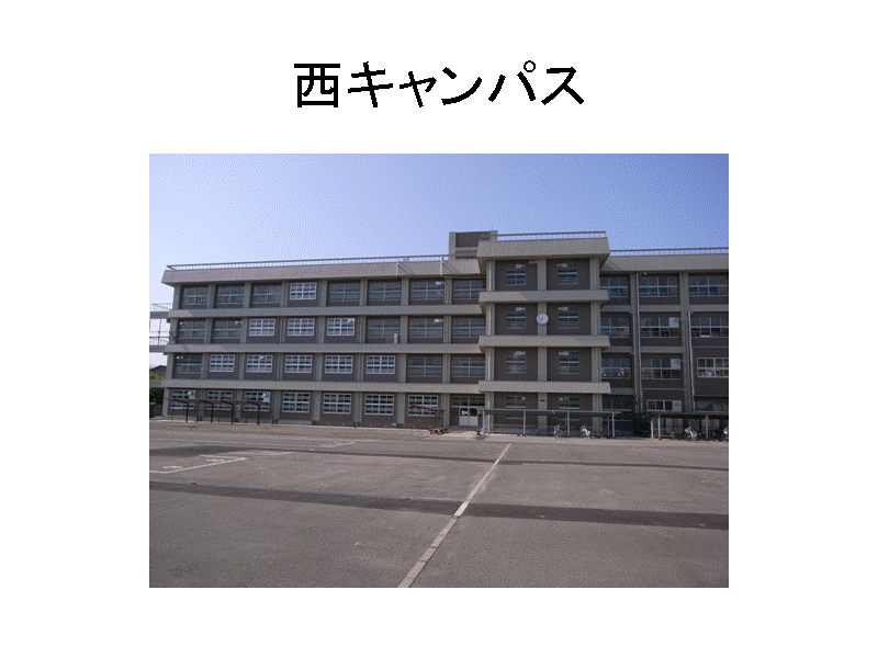 ���L�����p�X