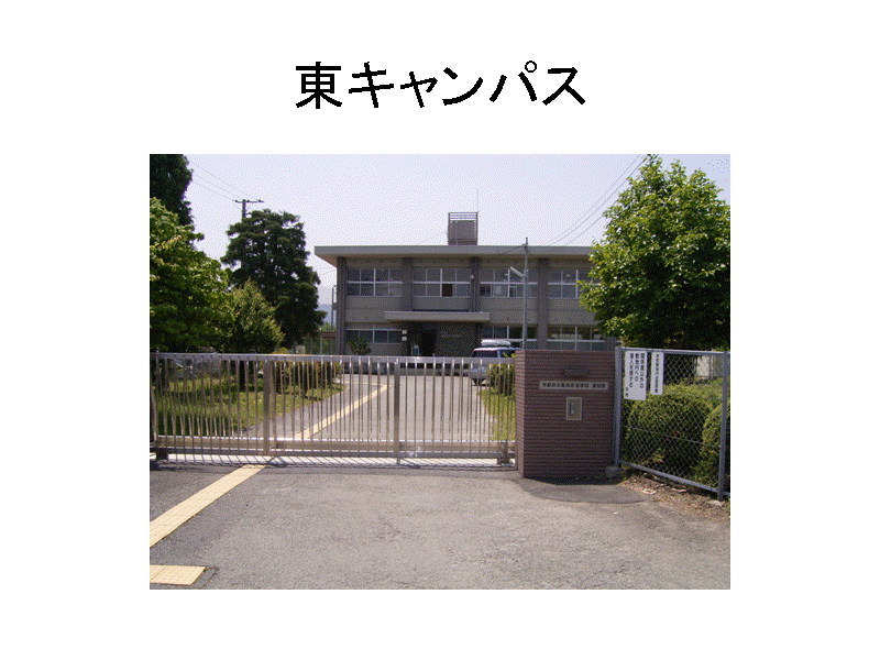 ���L�����p�X