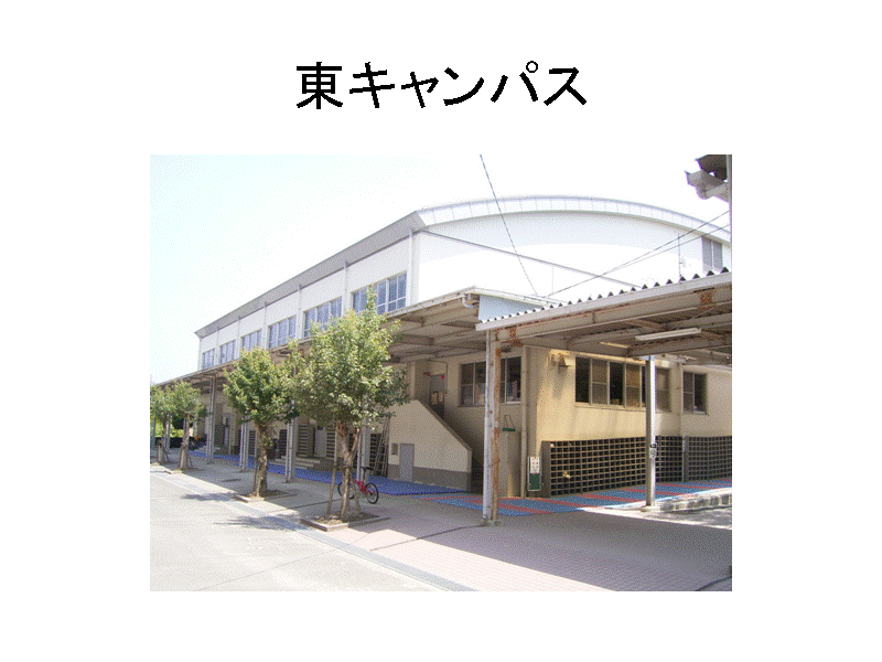 ���L�����p�X