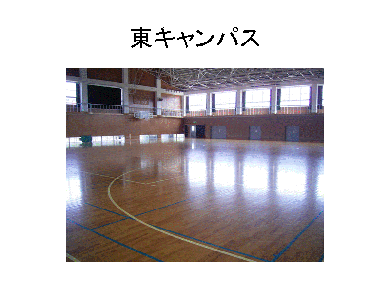 ���L�����p�X