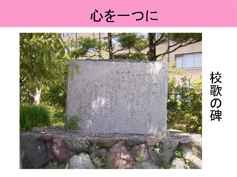 �S�����