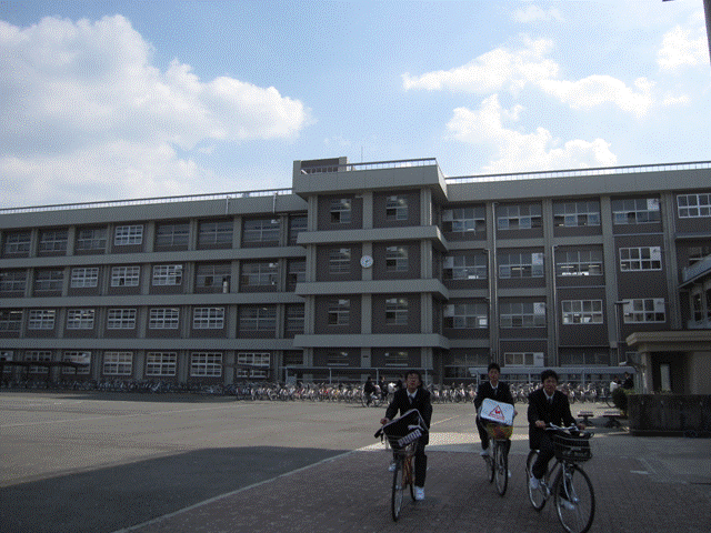 �X���C�h12