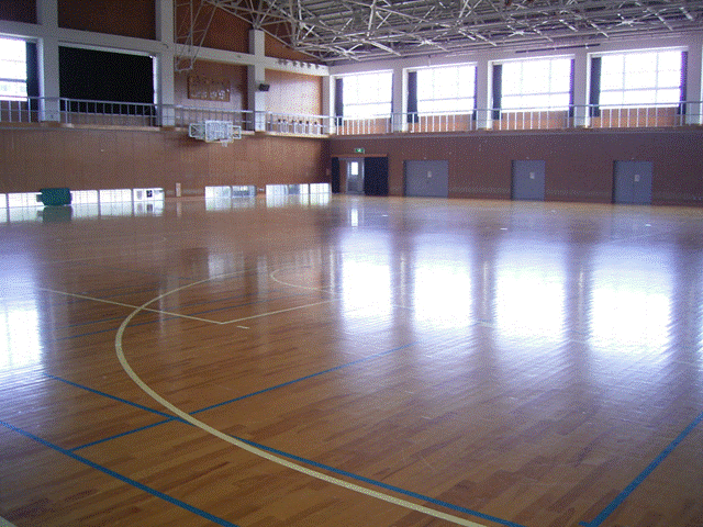 �X���C�h17