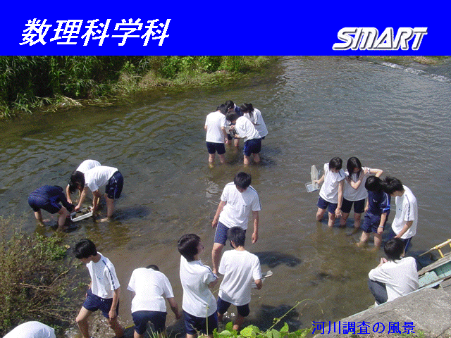 �͐쒲���̕��i