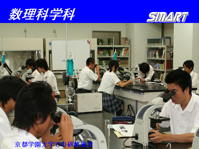 ���s�w����w�ł̌��C���i