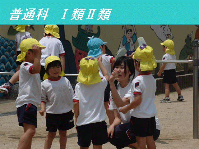 �X���C�h66