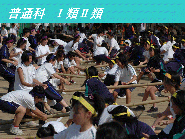 �X���C�h71