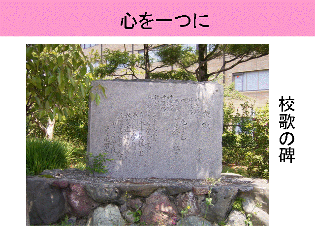 �S�����