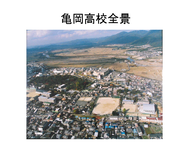 �T�����Z�S�i