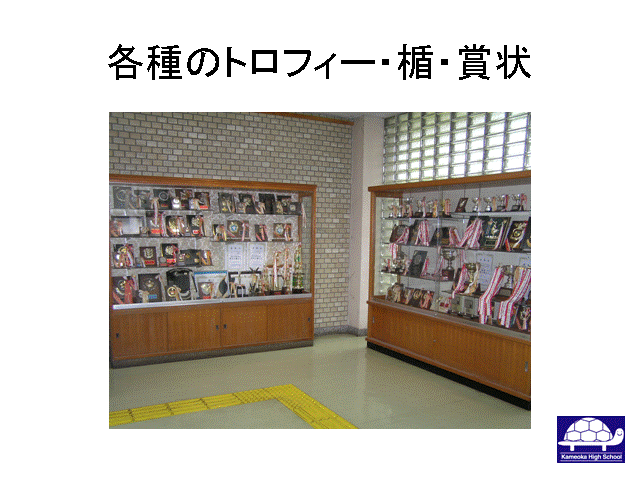 �e��̃g���t�B�[�E�|�E�܏�